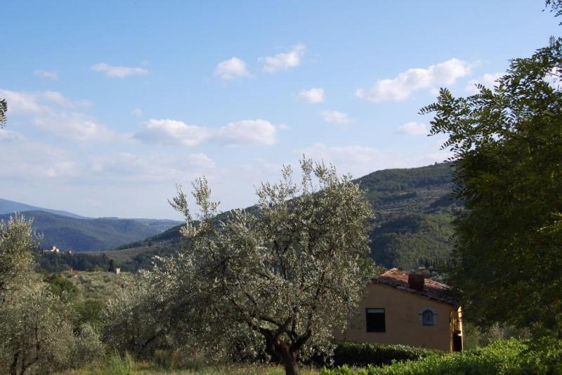 Agriturismo Il Giardino Pontassieve Ngoại thất bức ảnh