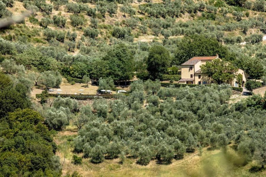 Agriturismo Il Giardino Pontassieve Ngoại thất bức ảnh